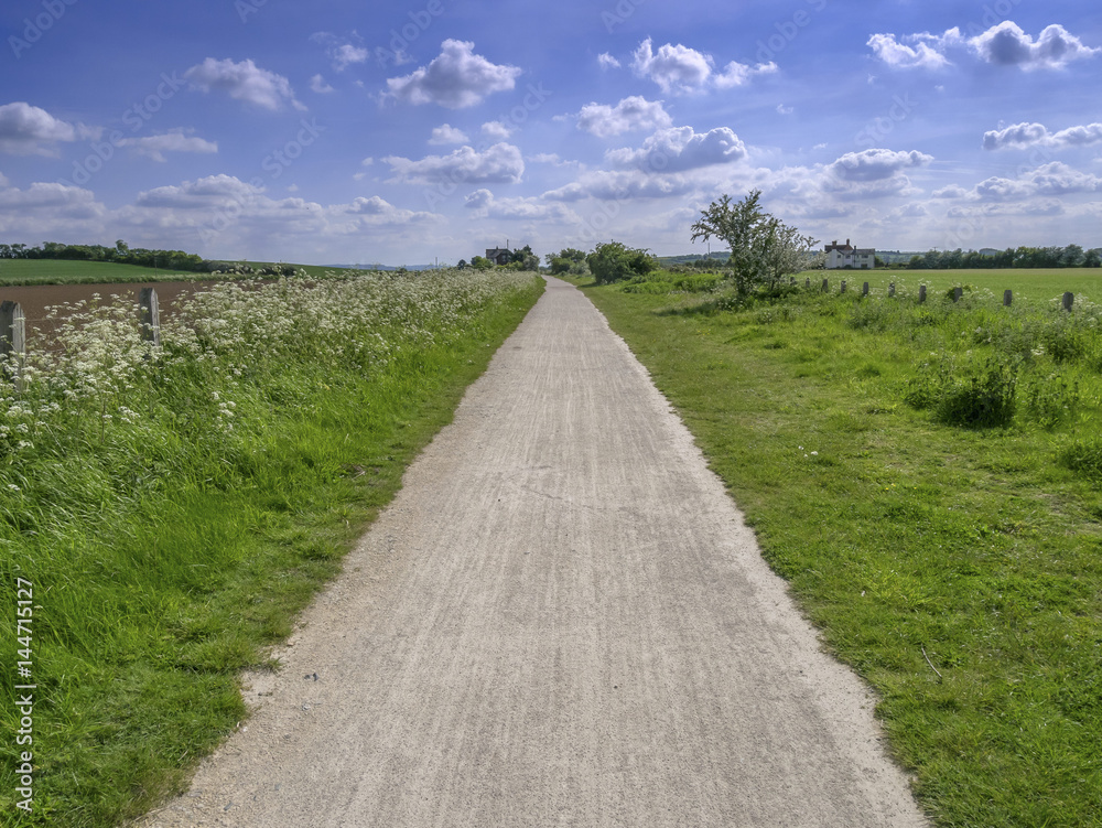 dirt track path in the countryside