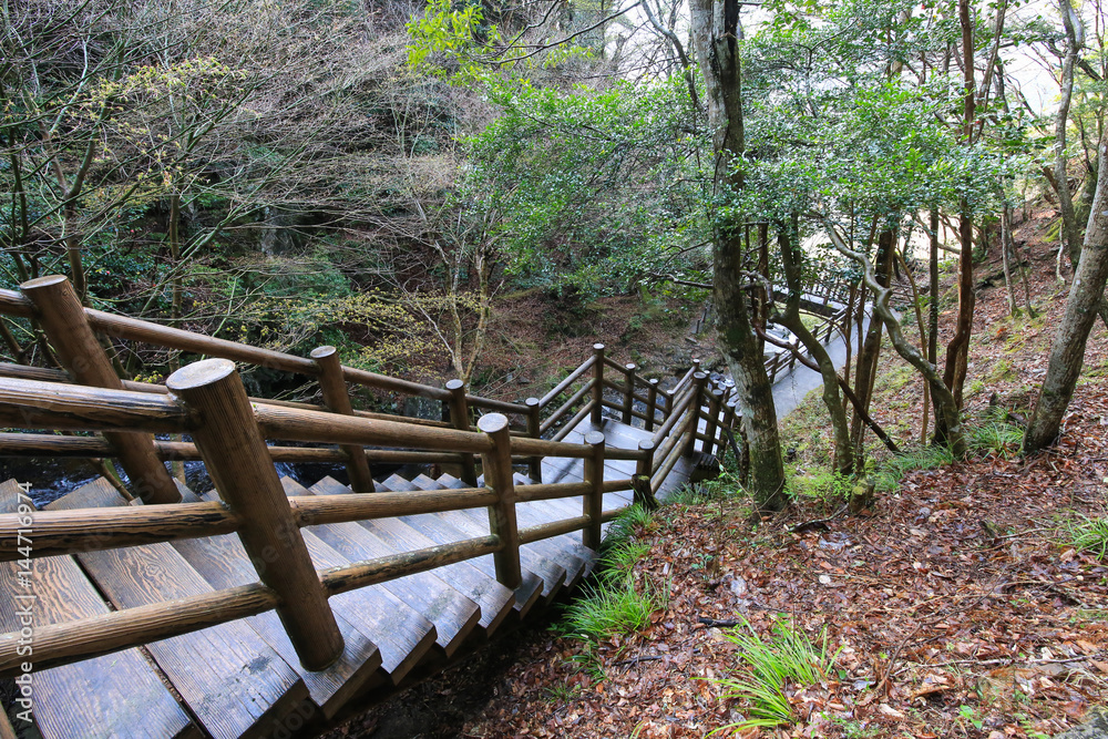 徳島県三好市　黒沢湿原　たびの尻滝への遊歩道