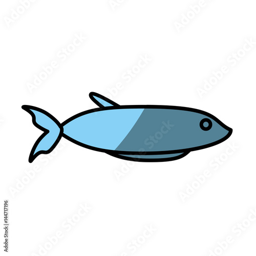 fish fresh food picnic shadow vector illustration eps 10