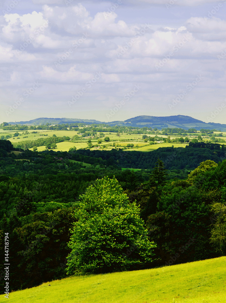 lush green typical generic beautiful english cotswold landscape