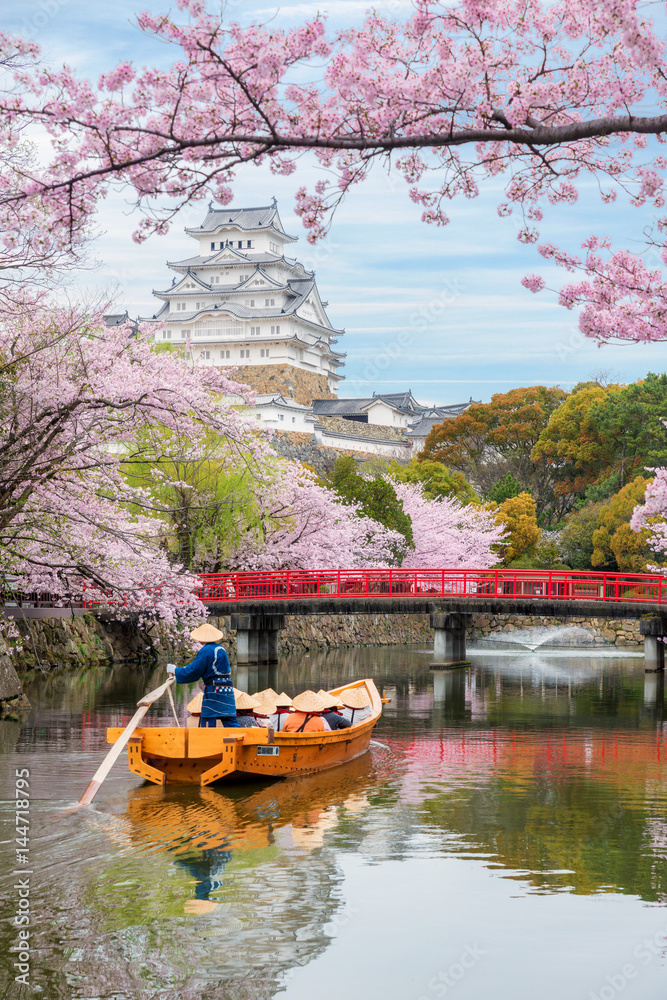 Fototapeta premium Zamek Himeji z pięknym kwiatem wiśni w sezonie wiosennym w Hyogo w pobliżu Osaki w Japonii. Zamek Himeji jest słynnym punktem widzenia wiśni w Osace w Japonii.