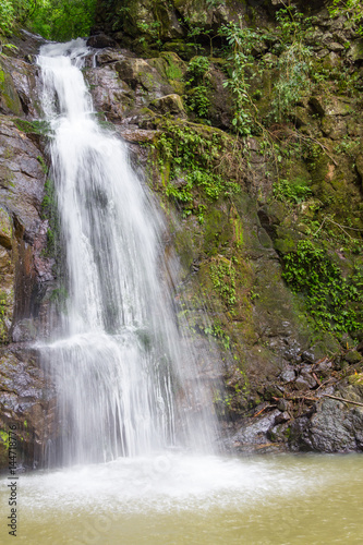 Fototapeta Naklejka Na Ścianę i Meble -  Small stream and waterfall in the forest