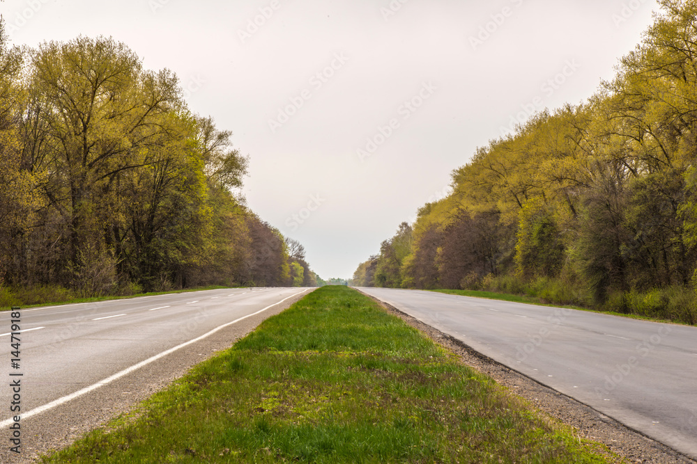 Fototapeta premium Empty asphalt road and forest