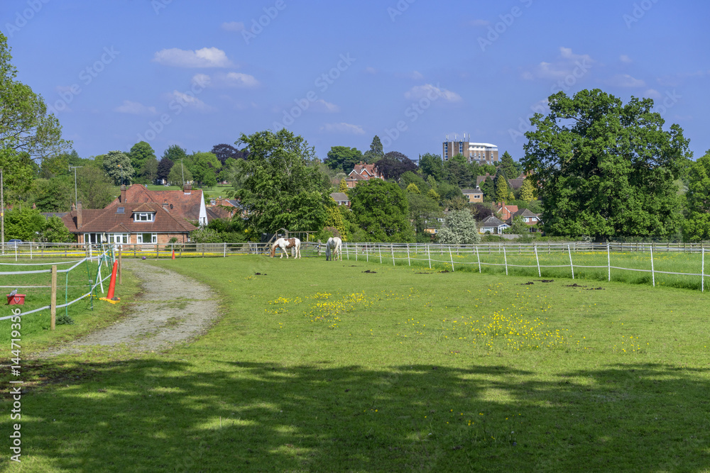 Obraz premium typical beautiful lush green english cotswold landscape 