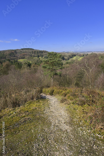 typical beautiful generic lush green english cotswold landscape