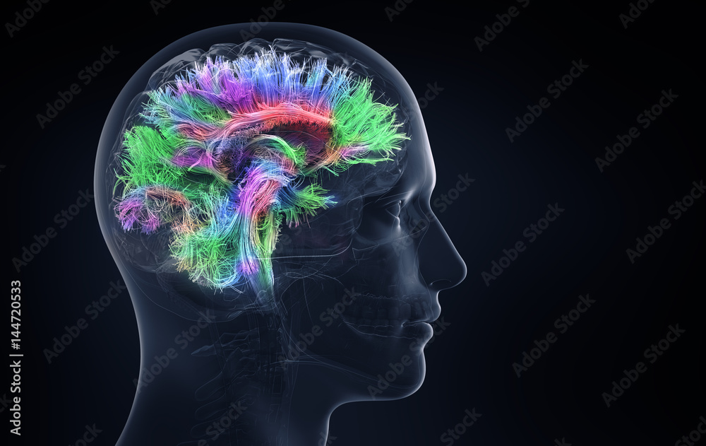 brain activity - obrazy, fototapety, plakaty 