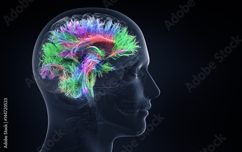 Canvas-taulu brain activity