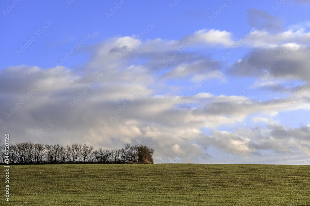 Obraz premium lush green typical beautiful english cotswold landscape