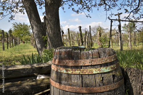 Abandoned, rusty barrels in countryside