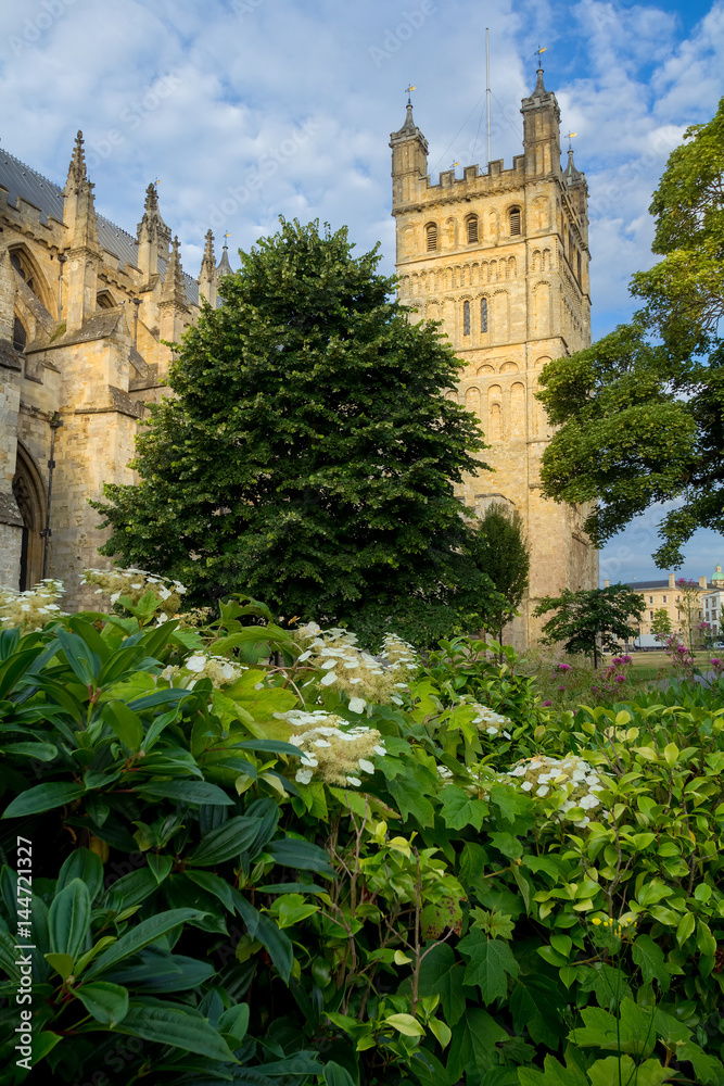 The cathedral in Exeter. The North Tower. A lot of greenery in the foreground. Morning. Devon. England