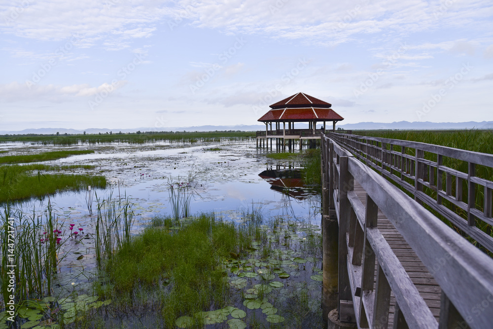 Old wooden bridge path to pavilion on lagoon. Beautiful tourist attractions,Thailand
