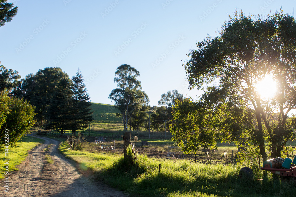 Farm dirt road, fence, trees and fields at sunset #2
