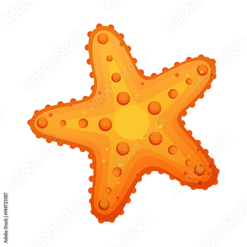 Starfish, sea star and shell. Colorful cartoon character