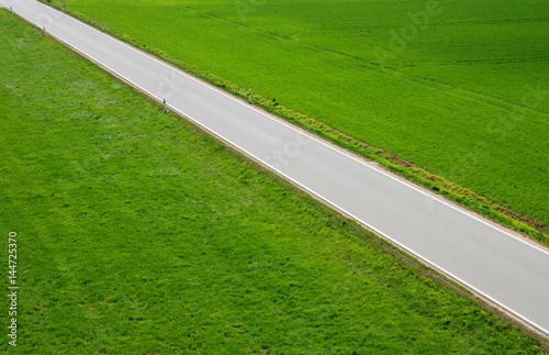 Bild auf Leinwand Strasse mit Wiese und Feld