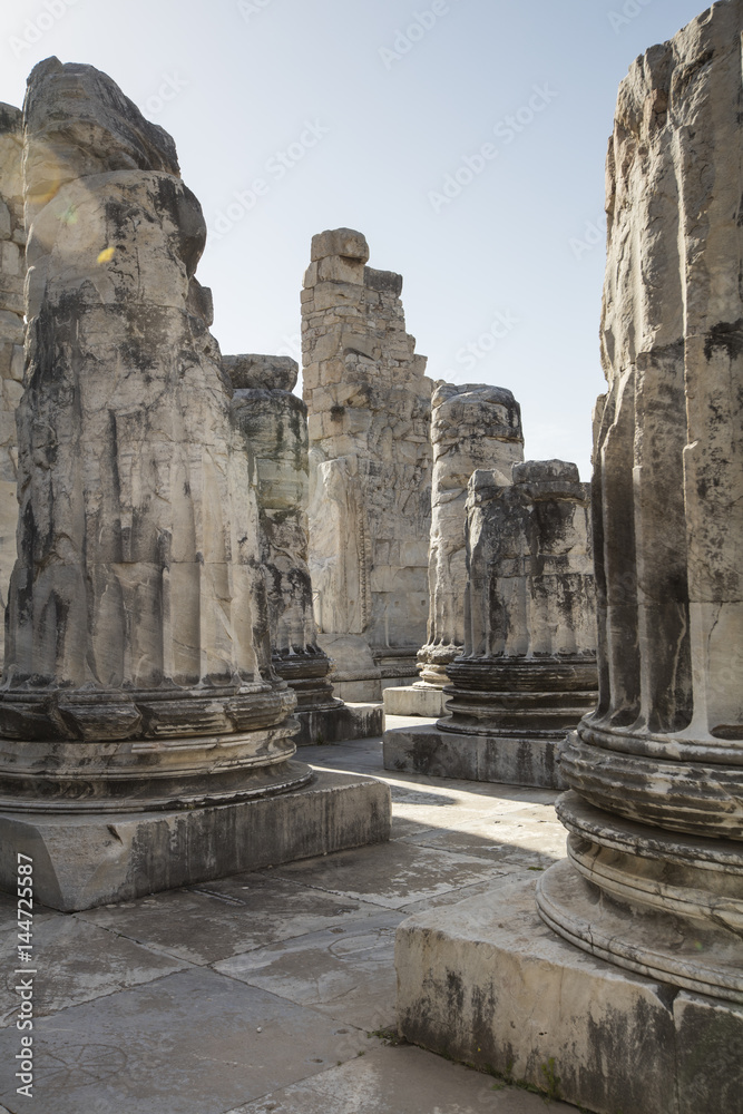 Fototapeta premium View of Temple of Apollo in antique city of Didyma, Aydin,Turkey