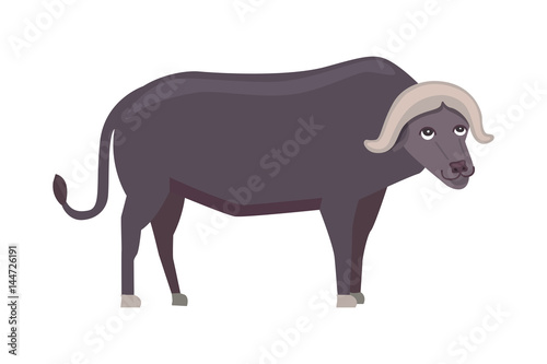 Buffalo cartoon vector illustration isolated