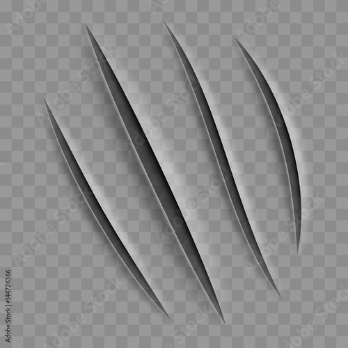 Animal Claw Scratches