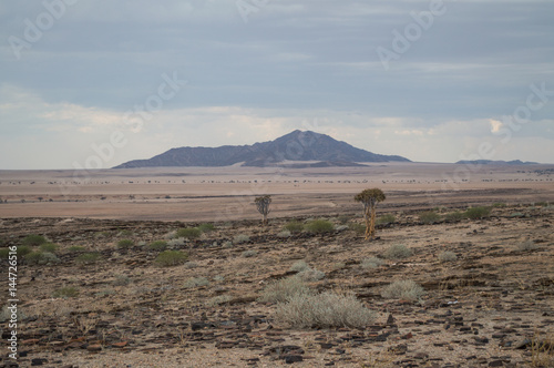 Stony Desert with Mountains and Trees between Walvis Bay and Solitaire in Namibia