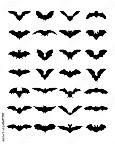 Big set of black silhouettes of bats on a white background