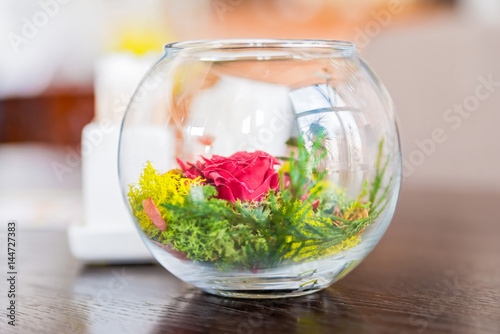 Decorative colorful plants in glass bowl photo