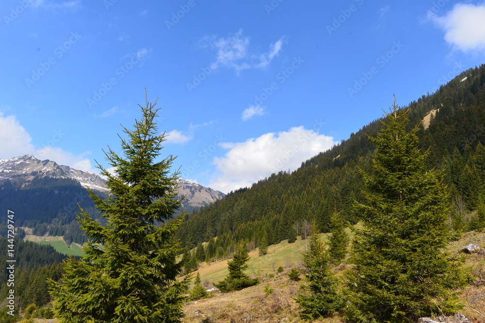 Bärgunttal in den Allgäuer Alpen / Kleinwalsertal