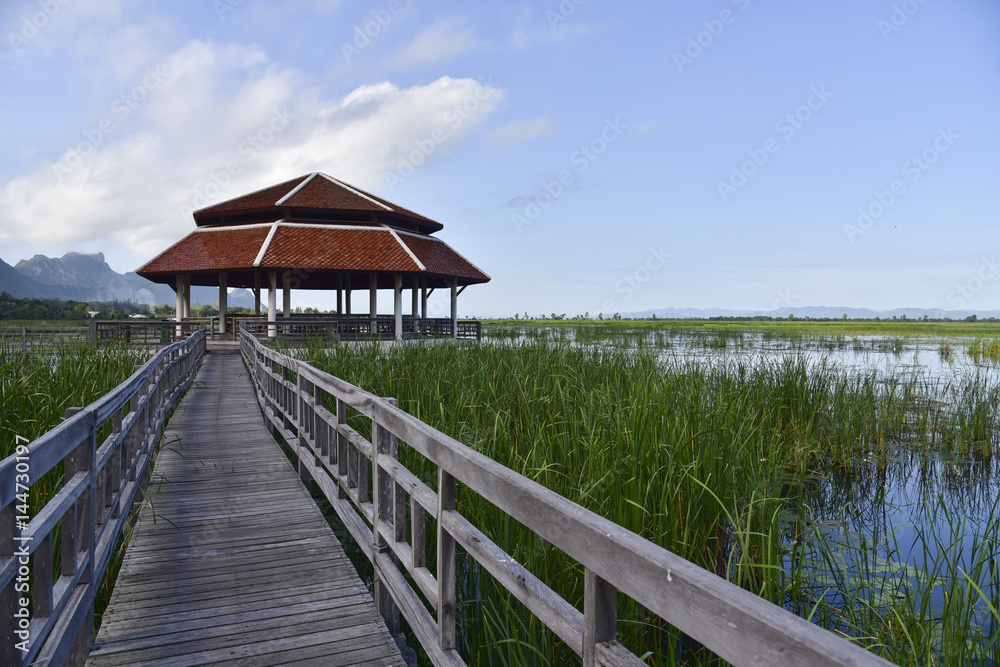 The pavilion and old wooden bridge path on lagoon. Beautiful tourist attractions,Thailand
