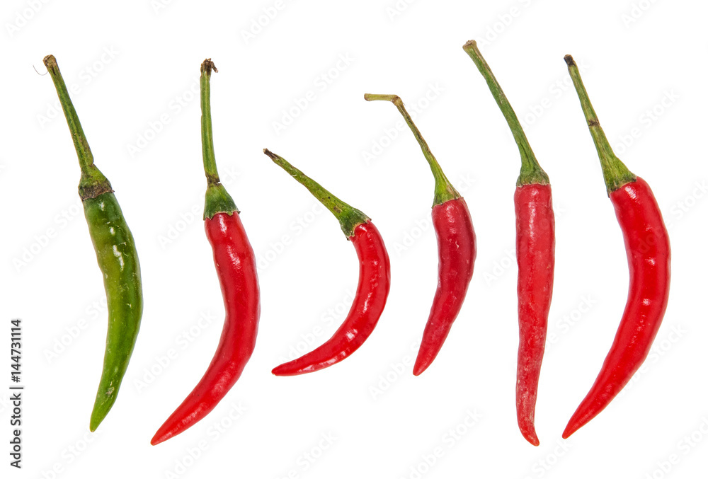 Red chili on the white background