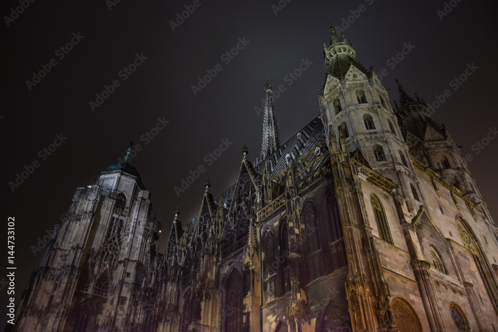 beautiful night scene of gothic cathedral