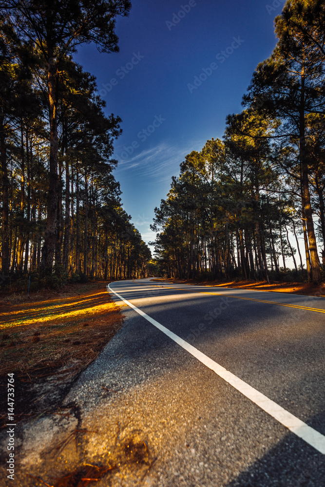 Fototapeta premium OBX (Outer Banks)