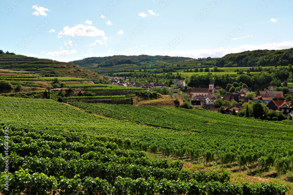 Beautiful Vineyards in the Kaiserstuhl, Germany