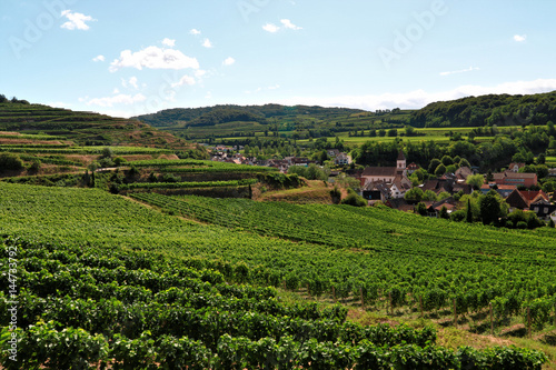 Beautiful Vineyards in the Kaiserstuhl, Germany