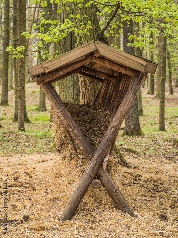 Naklejka premium Wooden feed rack