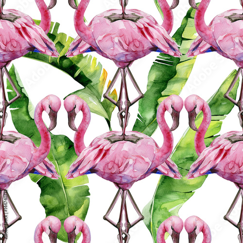 Watercolor illustration of tropical pink flamingo bird. Trendy artwork with t...