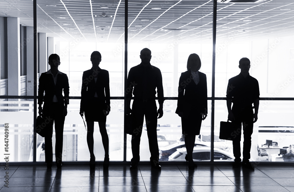 silhouettes of businesspeople