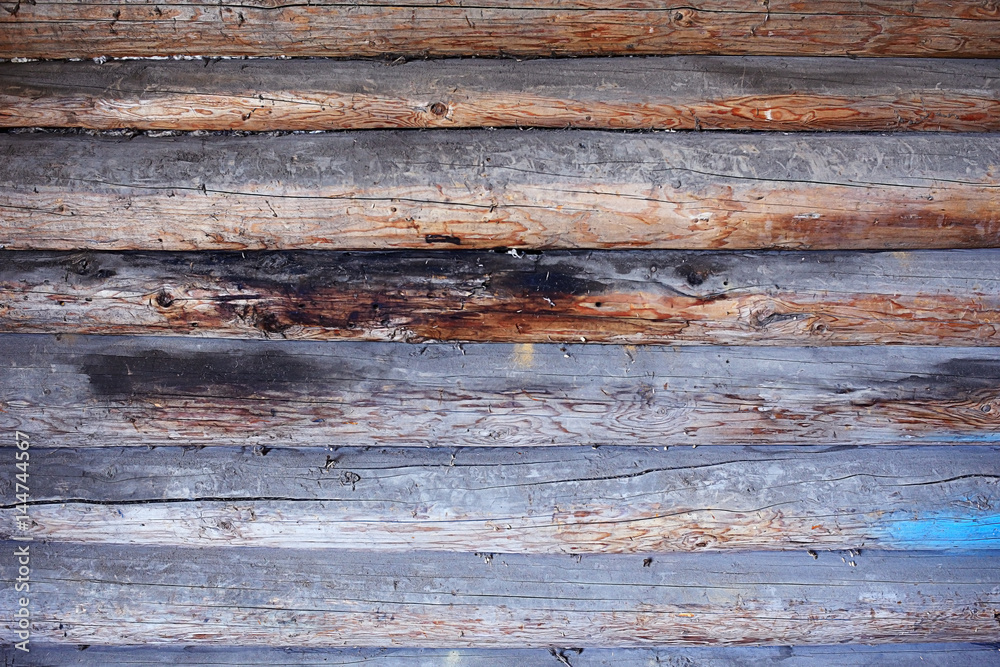 Obraz premium background texture of wooden planks logs bark