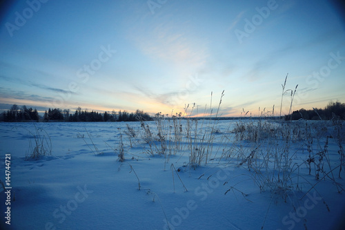 Fototapeta Naklejka Na Ścianę i Meble -  Winter landscape in the countryside forest snow field