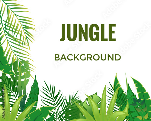 Jungle background. Jungle trees and plants.