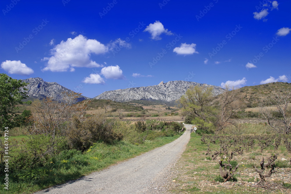 Chemin dans le Fenouillèdes, Pyrénées orientales dans le sud de la France