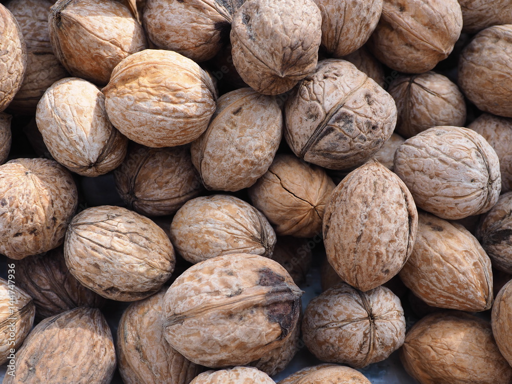 walnut walnut