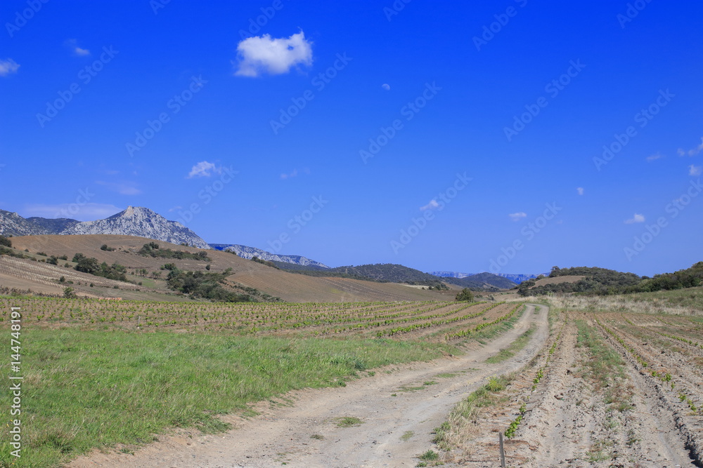 Chemin dans le Fenouillèdes, Pyrénées orientales dans le sud de la France