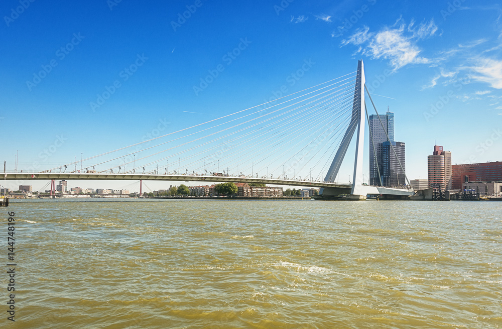 Obraz premium Erasmus bridge in Rotterdam