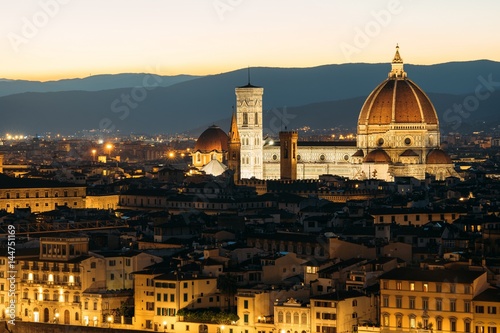 View over Florence