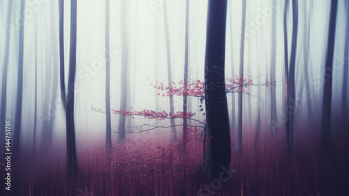 fantasy forest landscape creative camera movement effect motion blur