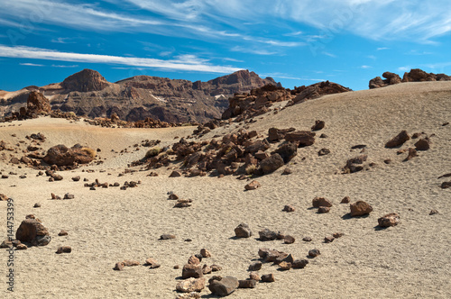 Desert landscape in the foothills of the Teide volcano. Island of Tenerife  Canary Islands.