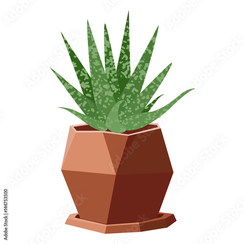 Vector illustration with succulent in geometric flowerpot