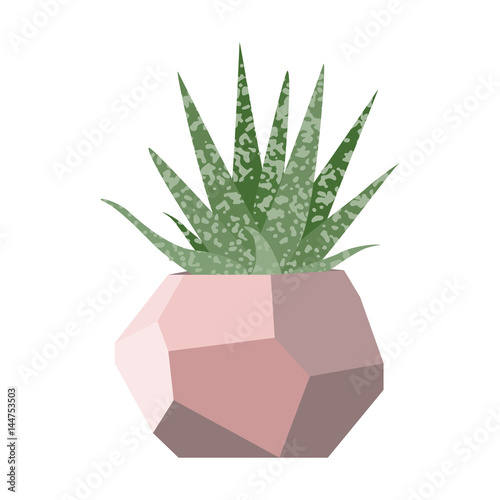 Vector illustration with succulent in geometric flowerpot