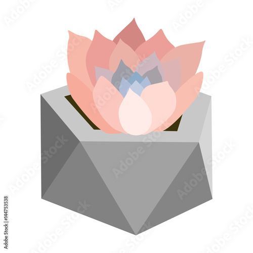 Vector illustration with succulent in geometric flowerpot