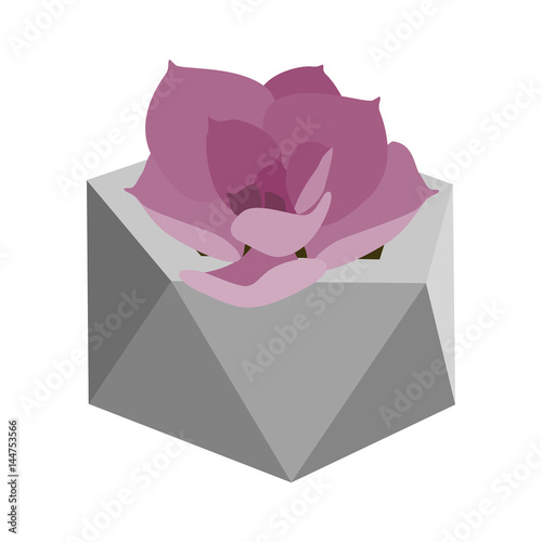Vector illustration with succulent in geometric flowerpot