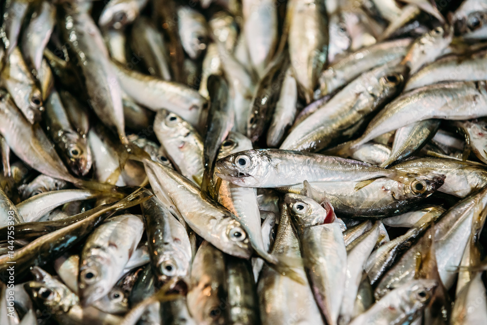 Fresh Fish On Display On Ice On Fishermen Market Store Shop. Seafood