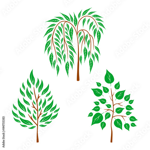 Vector flat trees on white background. Logo design illustration